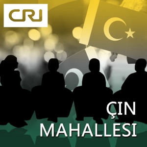Çin'deki üniversitelerin durumu