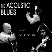 The Acoustic Blues - Backwater Blues (Live)