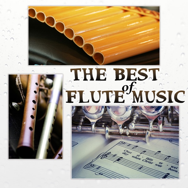 The Best of Flute Music: Zen Flute Meditations for Leisure, Ayurvedic Massage, Mantra Yoga, Celestial Reiki, Spiritual Healing
