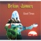 Stupid Things - Brion James lyrics