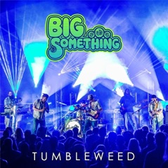 Tumbleweed - Single