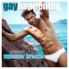 Gay Happening Presents Summer Breeze - Various Artists