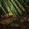 Country Hymn - Adam Young lyrics