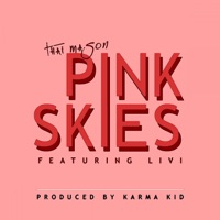 Pink Skies (feat. Livi) - Single - Thai Mason