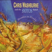 Chris Washburne & The Syotos Band - Nuyorican Son