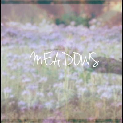 Meadows - Single