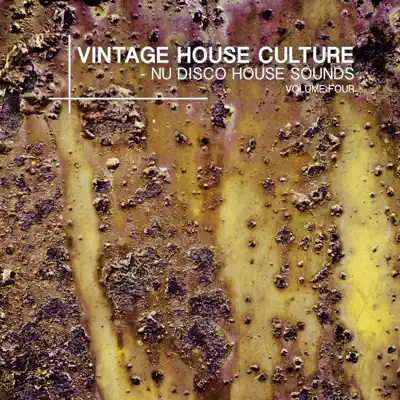 Ascolta 'Vintage House Culture, Vol. 4 - Nu Disco House Sounds' di Various Artists
