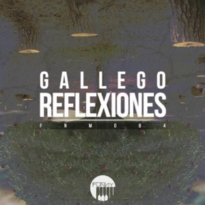 Reflexiones - Single