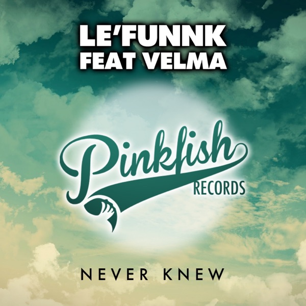 Never Knew (feat. Velma) - Single
