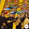 Música Andina Volumen 1 (Música de Ecuador)