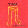 Turd by Charly Bliss