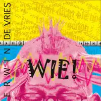 Deniek — Erwin de Vries