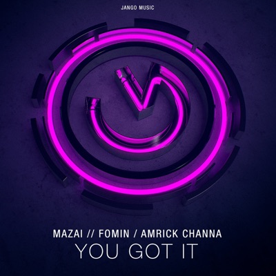 You Got It - Single