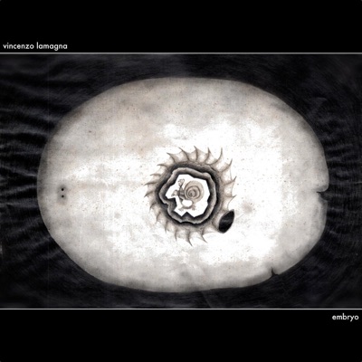 Embryo