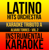 Instrumental Karaoke Series: Alvaro Torres, Vol. 2 (Karaoke Version)