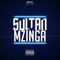 Mzinga - Single - Sultan