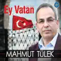 Bu Turku Bitmeyecek