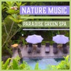 Wellness Spa Music Oasis