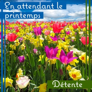 En attendant le printemps: Détente - Des sons apaisants pour une meilleure humeur, Vibration positive, Nature pure, Esprit de pouvoir