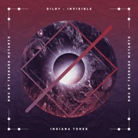 Invisible (Remixes) - Single - Dilby