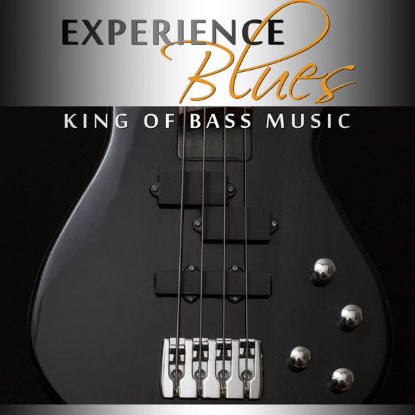 Experience Blues: King of Bass Music, Big Daddy BB Blues, Acoustic Music Rock