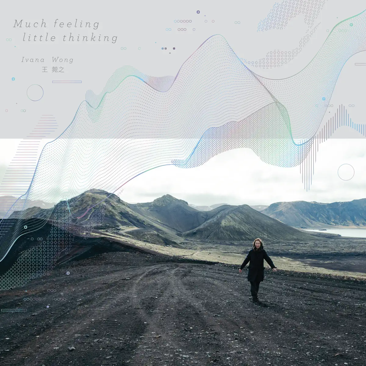 王菀之 - Much Feeling Little Thinking (2017) [iTunes Plus AAC M4A]-新房子
