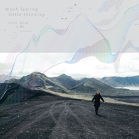 Much Feeling Little Thinking - Ivana Wong