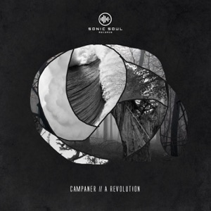 A Revolution - Single