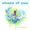 Shape of You (Karaoke Instrumental Carpool Edit) artwork