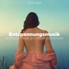 Entspannungsmusik - Wellness Musik und Meditationsmusik