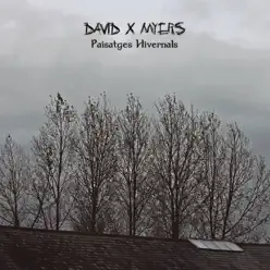 Paisatges Hivernals - David X Myers