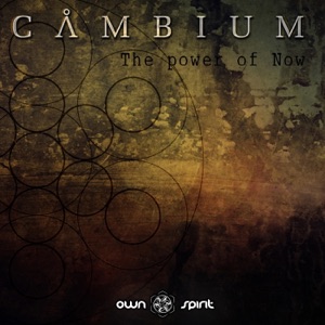 The Power of Now - Single