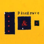 Pinegrove - The Metronome
