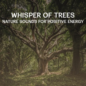 Whisper of Trees – Nature Sounds for Positive Energy, Get Relax and Calm Down with Meditation Music