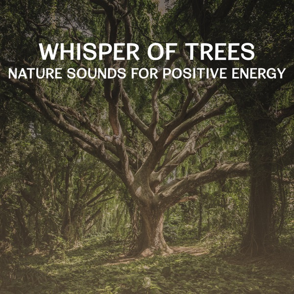 Whisper of Trees – Nature Sounds for Positive Energy, Get Relax and Calm Down with Meditation Music