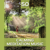 50 Calming Meditation Music: Perfect Balance, Spiritual Enlightenment, Buddhist Mantras, Chakra Healing, Classical Indian Flute, Yoga & Reiki Music - Relaxation Meditation Songs Divine