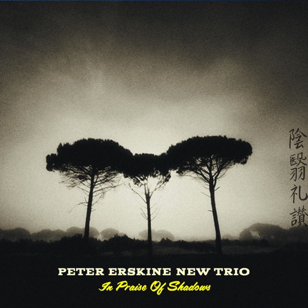 In Praise of Shadows (feat. Peter Erskine, Vardan Ovsepian & Damian Erskine)
