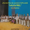 Orchestra de muzică populară Mugurel din Chișinău - Sârba Chișinăului
