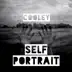 Self Portrait (Luca Elle Remix) song reviews