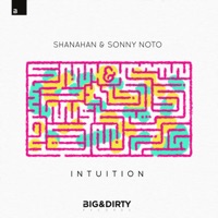 Intuition - Single - Shanahan & Sonny Noto