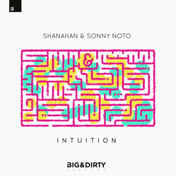 Intuition - Single