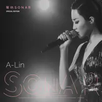 Lin - 拿走了什麼 (Live) — A