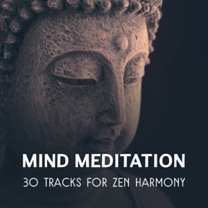 Mind Meditation – 30 Tracks for Zen Harmony, Inner Balance, Soothing Relaxation Music Collective, Focus & Concentrate