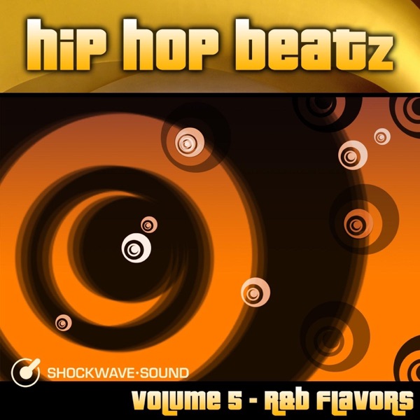 Hip-Hop Beatz, Vol. 5: R&B Flavors