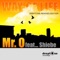 Way of Life (Nativeroots Club Mix) [feat. Sheibe] - Mr O lyrics