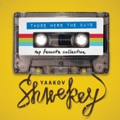 Shwekey Medley artwork