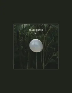 Listen to Trachimbrod, watch music videos, read bio, see tour dates & more!