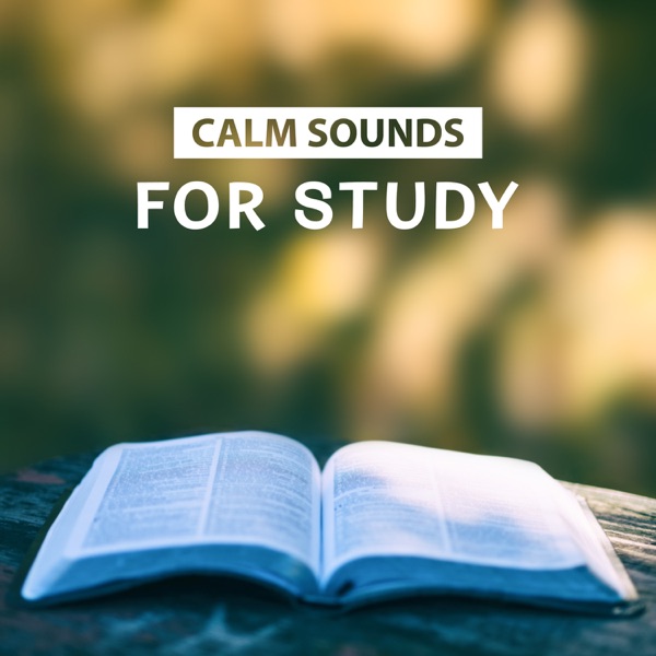 Calm Sounds for Study – Anti Stress Music, Increase Creativity, Better Concentration and Mental Inspiration, Rest and Relax