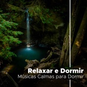 Relaxar e Dormir: Musicas Calmas para Dormir (Chuva, Ondas do Mar, Natureza e Ruído Branco) artwork