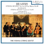 The Vienna String Sextet - String Sextet No. 1 in B-Flat Major, Op. 18